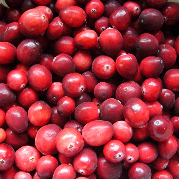 Cranberries picture